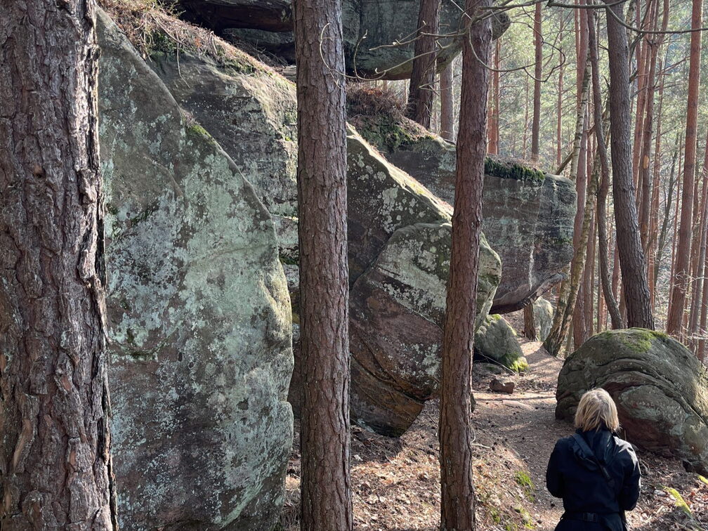 23-03-03 13-42-22 4642